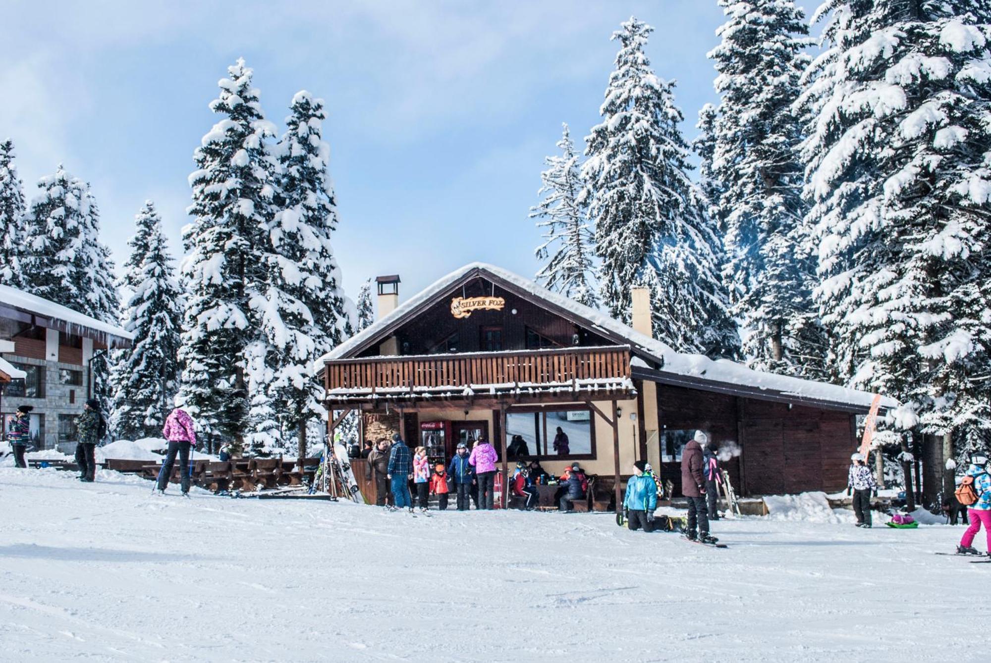 Alpine Ski Chalet Borovets With Sauna מראה חיצוני תמונה