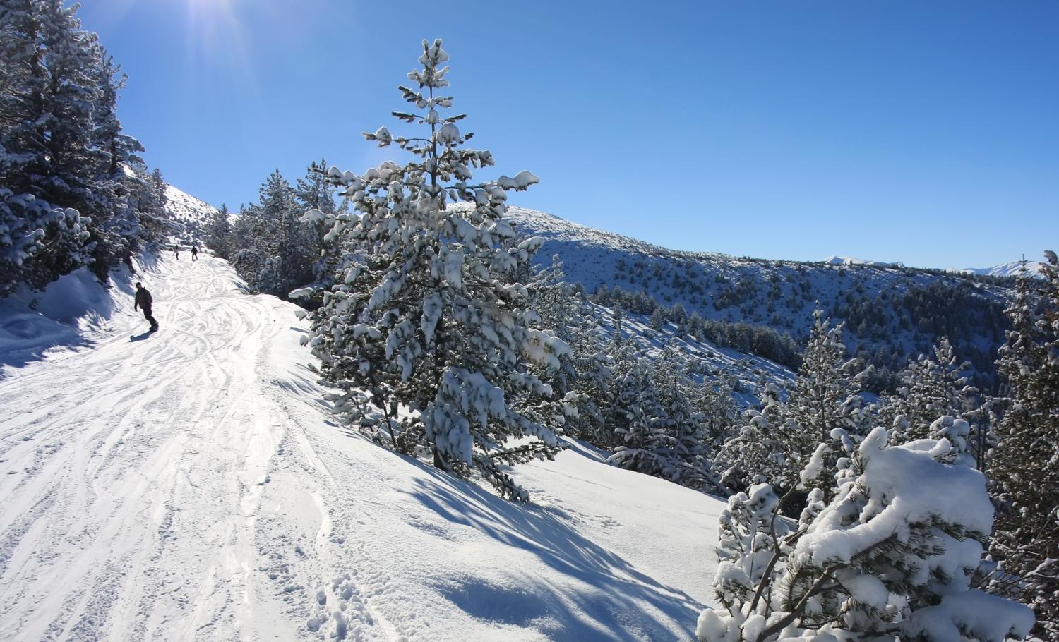 Alpine Ski Chalet Borovets With Sauna מראה חיצוני תמונה