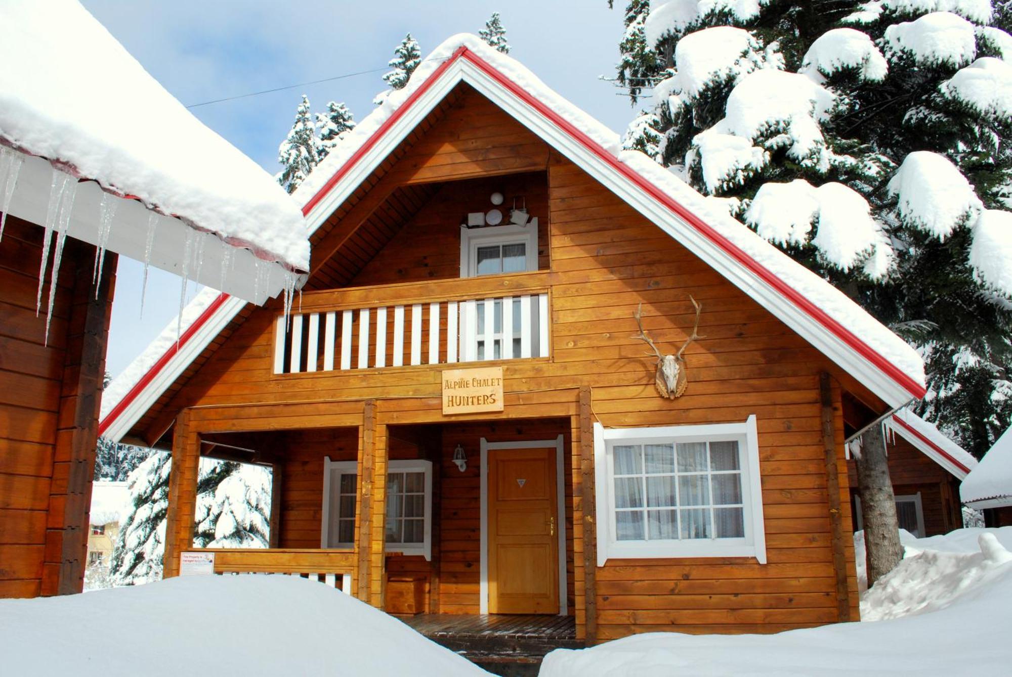 Alpine Ski Chalet Borovets With Sauna מראה חיצוני תמונה