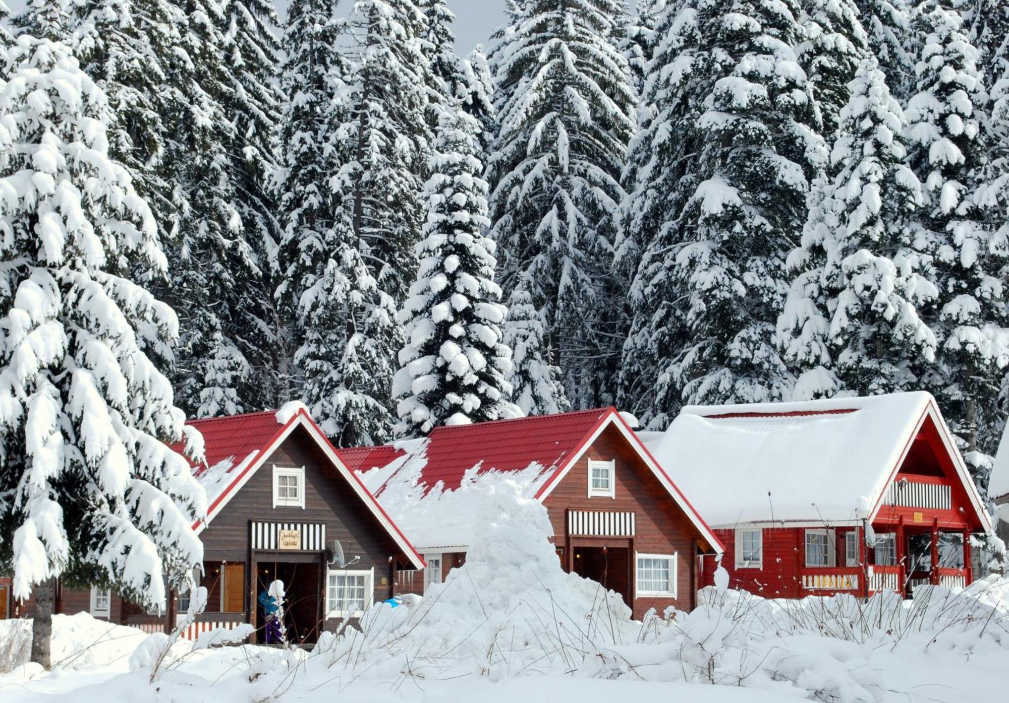 Alpine Ski Chalet Borovets With Sauna מראה חיצוני תמונה