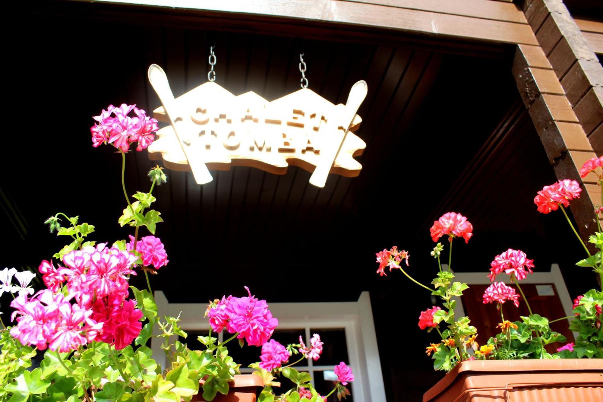 Alpine Ski Chalet Borovets With Sauna מראה חיצוני תמונה