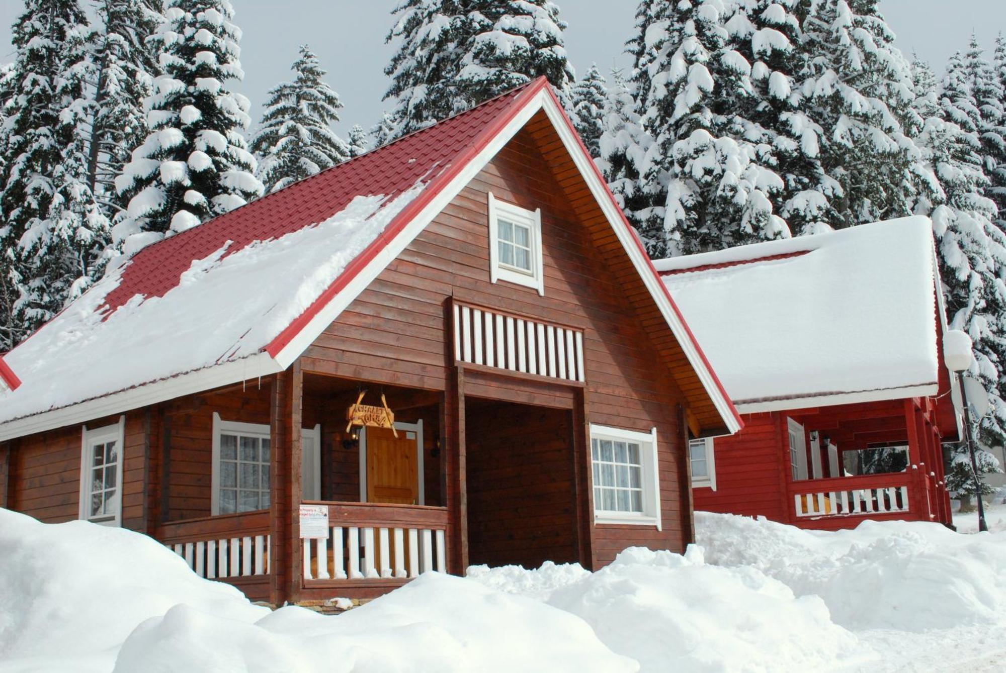 Alpine Ski Chalet Borovets With Sauna מראה חיצוני תמונה