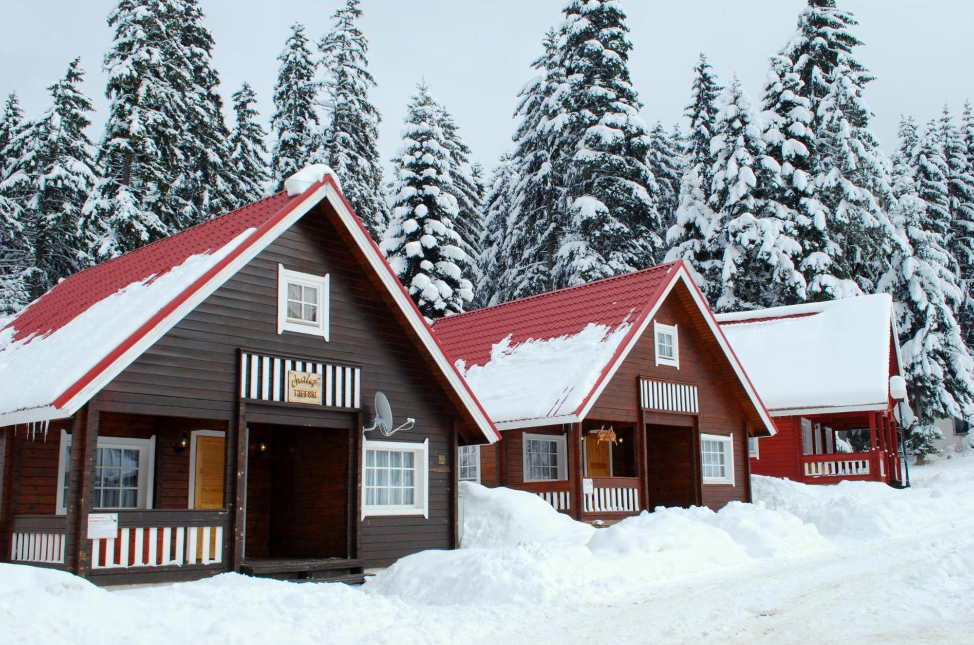 Alpine Ski Chalet Borovets With Sauna מראה חיצוני תמונה