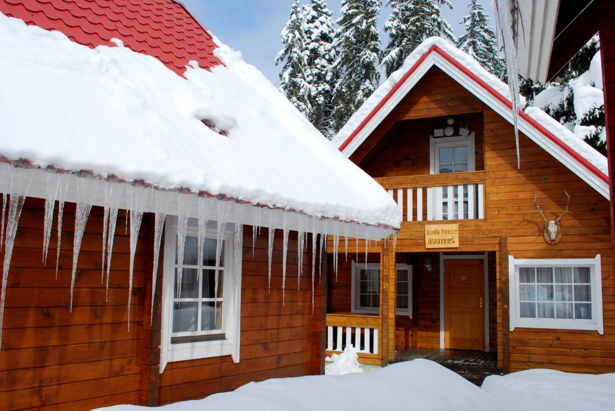 Alpine Ski Chalet Borovets With Sauna חדר תמונה